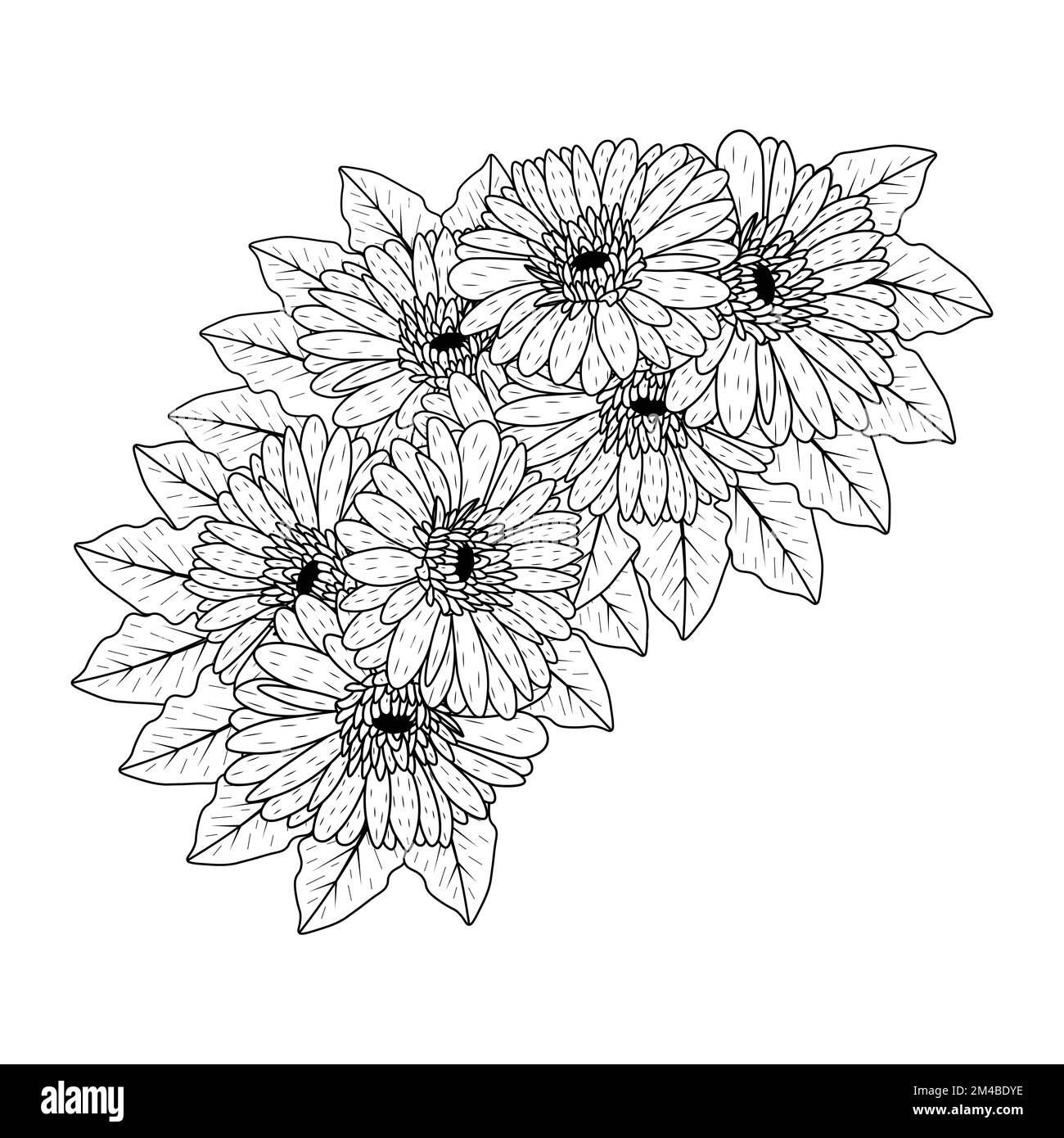 belles fleurs de gerbera marguerite coloriage page dessin détaillé en vecteur graphique de l'art de ligne Illustration de Vecteur