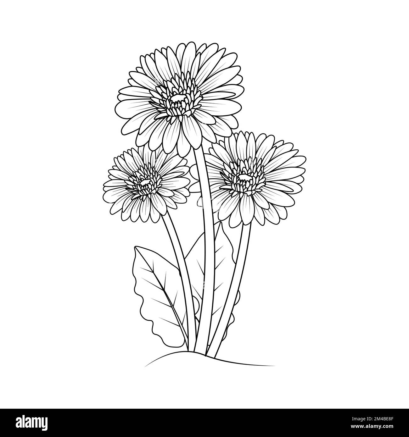 belles fleurs de gerbera marguerite coloriage page dessin détaillé en vecteur graphique de l'art de ligne Illustration de Vecteur