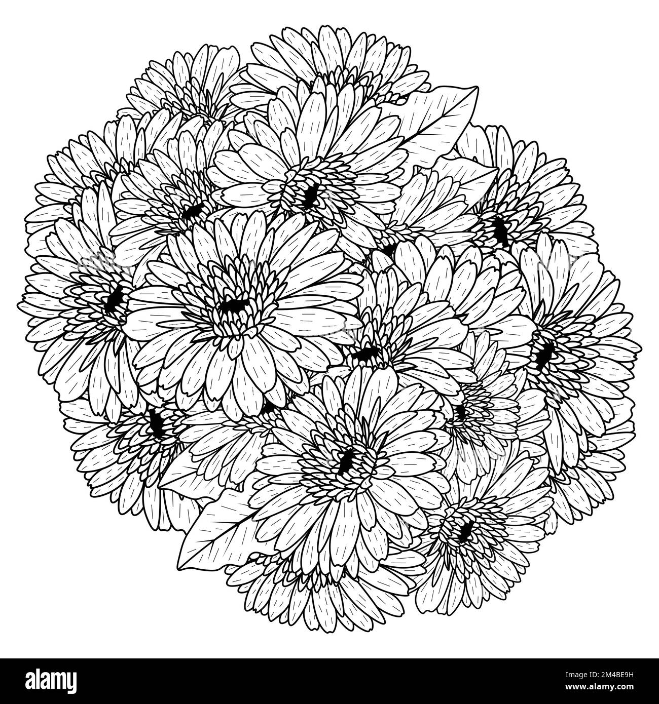 belles fleurs de gerbera marguerite coloriage page dessin détaillé en vecteur graphique de l'art de ligne Illustration de Vecteur