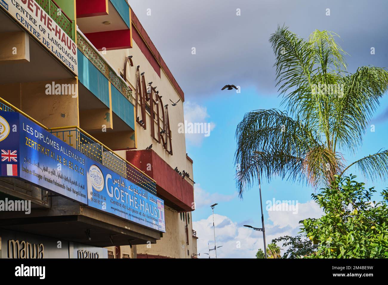 Pigeons volant dans une rue marocaine Banque D'Images