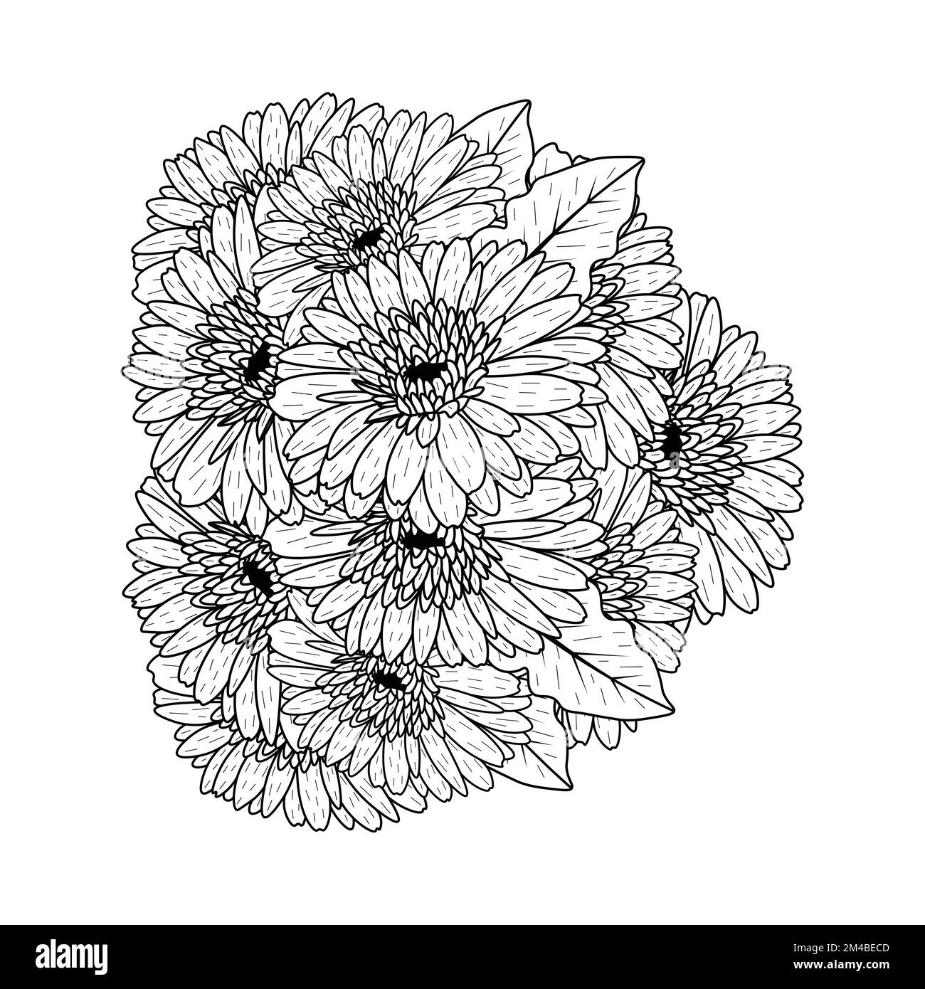belles fleurs de gerbera marguerite coloriage page dessin détaillé en vecteur graphique de l'art de ligne Illustration de Vecteur