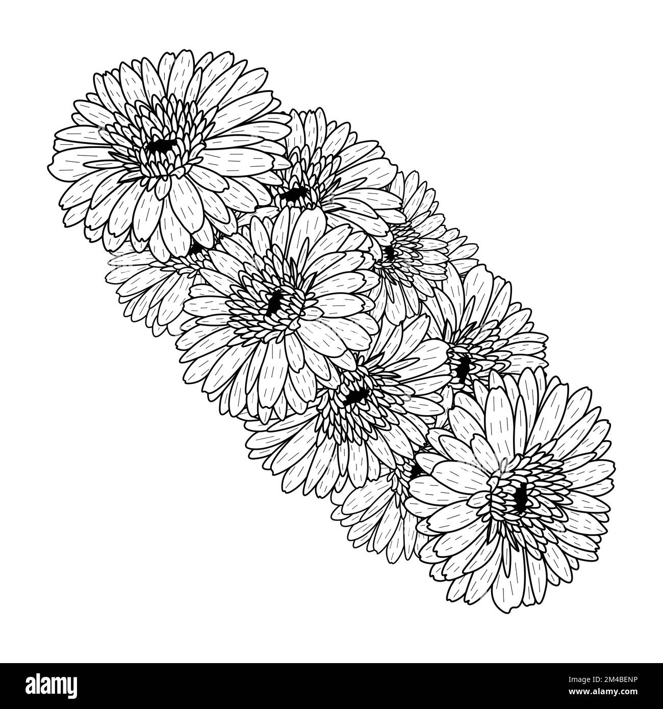 belles fleurs de gerbera marguerite coloriage page dessin détaillé en vecteur graphique de l'art de ligne Illustration de Vecteur