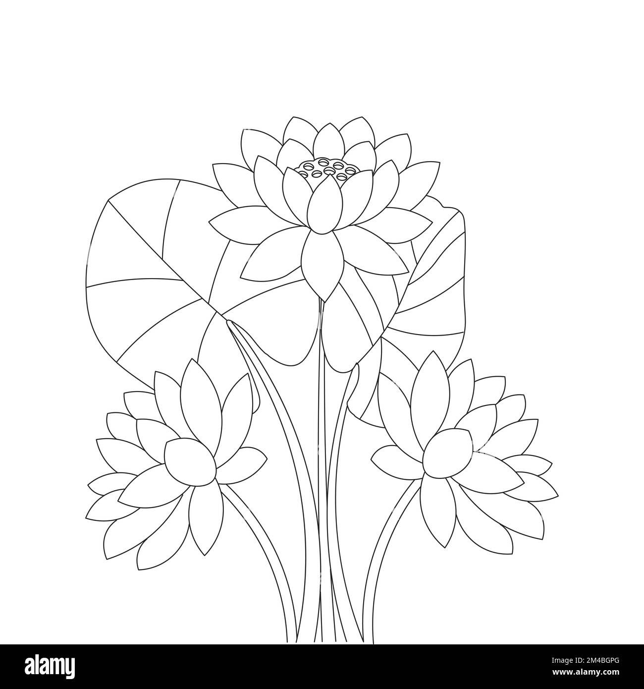 belle page de coloriage de fleurs avec dessin au crayon détaillé dans le graphique vectoriel de l'art au trait Illustration de Vecteur