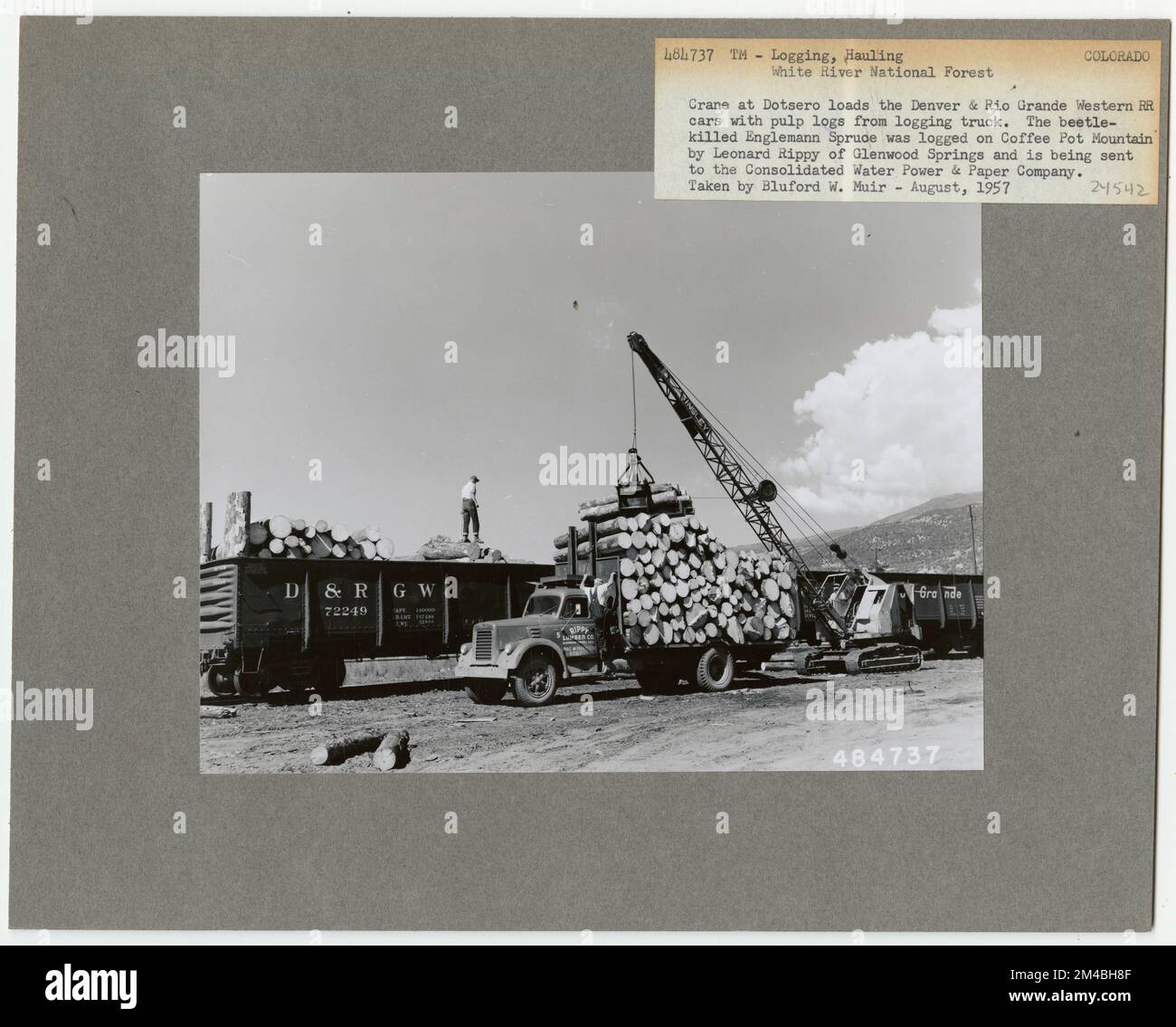 Exploitation forestière: Transport: Chemins de fer - Colorado. Photographies relatives aux forêts nationales, aux pratiques de gestion des ressources, au personnel et à l'histoire culturelle et économique Banque D'Images