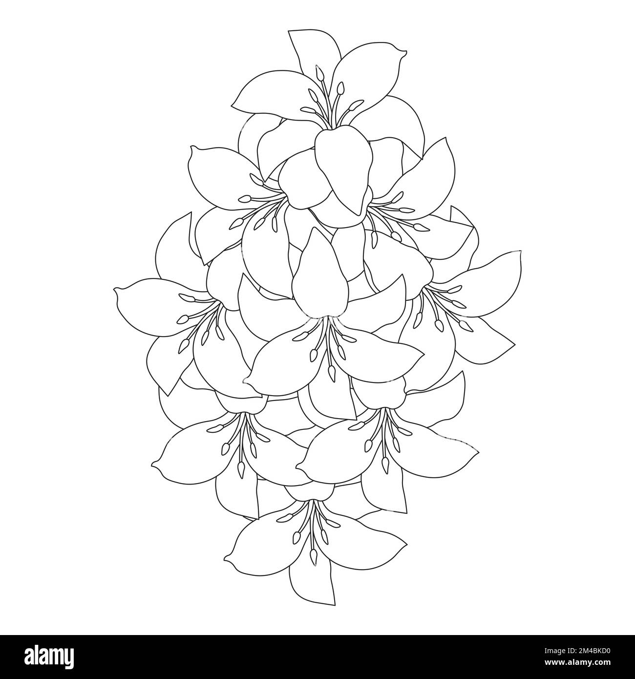 fleur de lily et fleur de lilium coloriage page contour décoratif art ligne vector graphiques Illustration de Vecteur