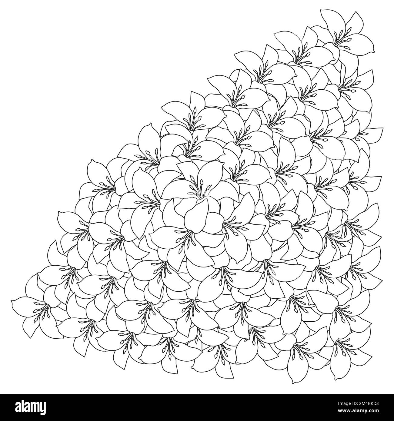 fleur de lily et fleur de lilium coloriage page contour décoratif art ligne vector graphiques Illustration de Vecteur