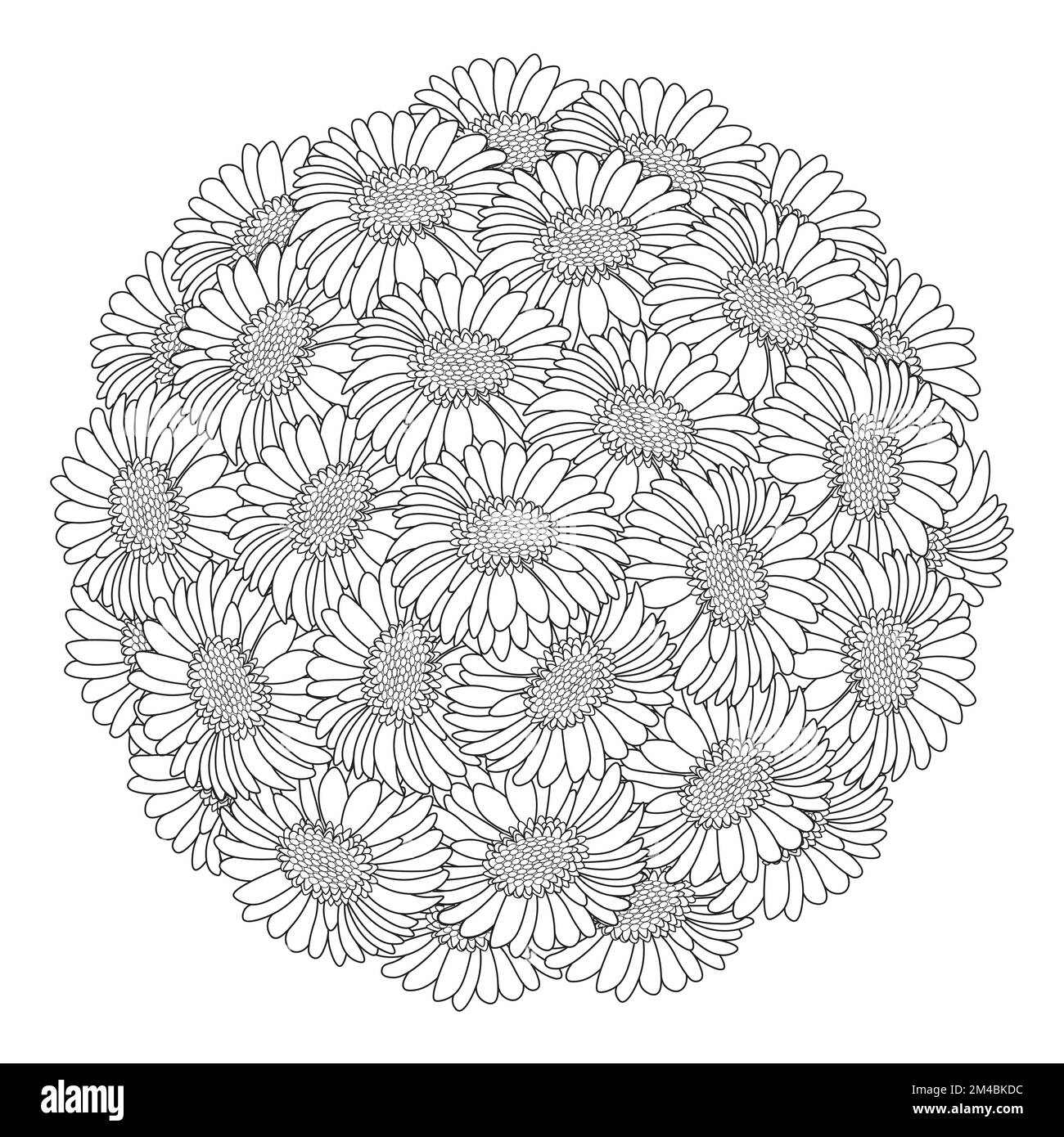rose gerbera marguerite belles fleurs coloriage page dessin détaillé dans le graphique vectoriel de l'art de ligne Illustration de Vecteur