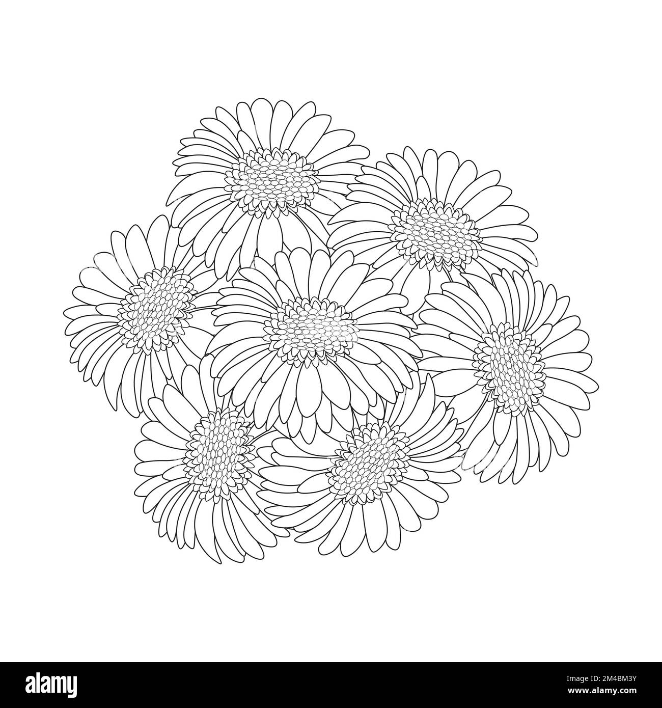 rose gerbera marguerite belles fleurs coloriage page dessin détaillé dans le graphique vectoriel de l'art de ligne Illustration de Vecteur