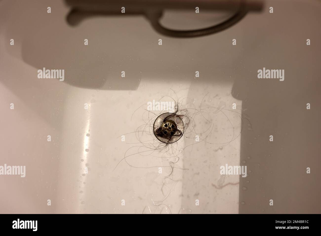 Le lavabo blanc de la baignoire avec beaucoup de cheveux sales et de la  poussière, le drain est bouché par les cheveux Photo Stock - Alamy