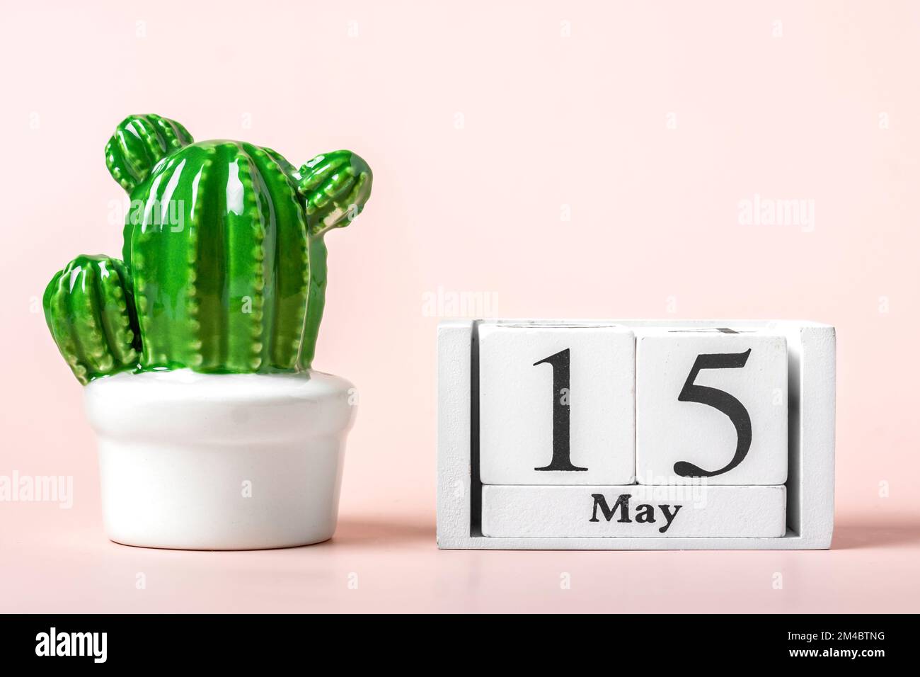 Calendrier en bois avec date 15 mai et cactus vert végétal dans un pot isolé sur fond rose. Banque D'Images
