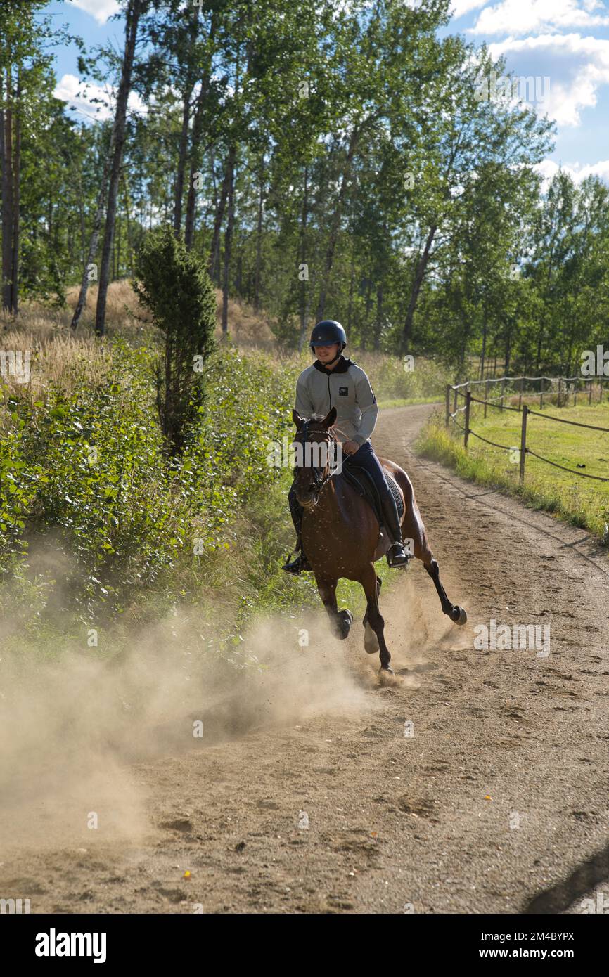 Lady forme un cheval assis dans un soyeux sur une piste. Photo de haute qualité Banque D'Images