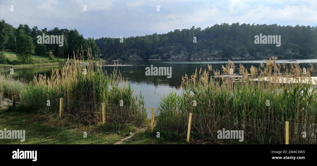 Vue panoramique sur un lac entouré de forêts de feuillus Banque D'Images