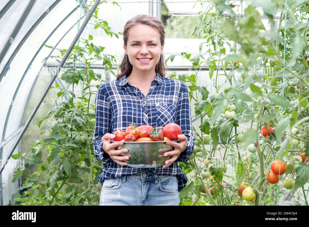 Jeune femme adulte tenant à la main grand plat de tomates mûres rouges. Banque D'Images