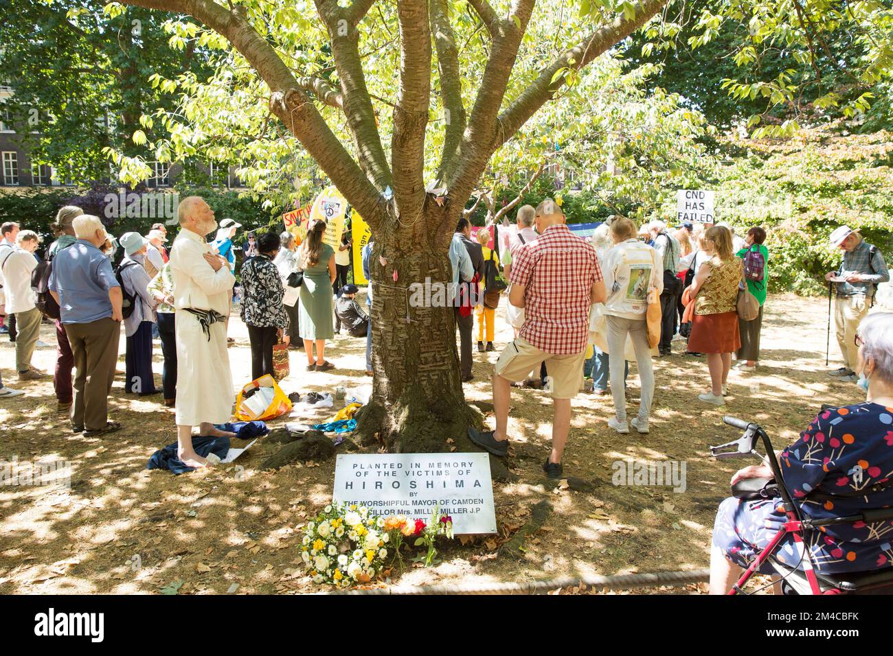 Les gens se rassemblent près du cerisier planté à la mémoire des victimes d'Hiroshima lors d'un événement de commémoration dans le centre de Londres. Banque D'Images