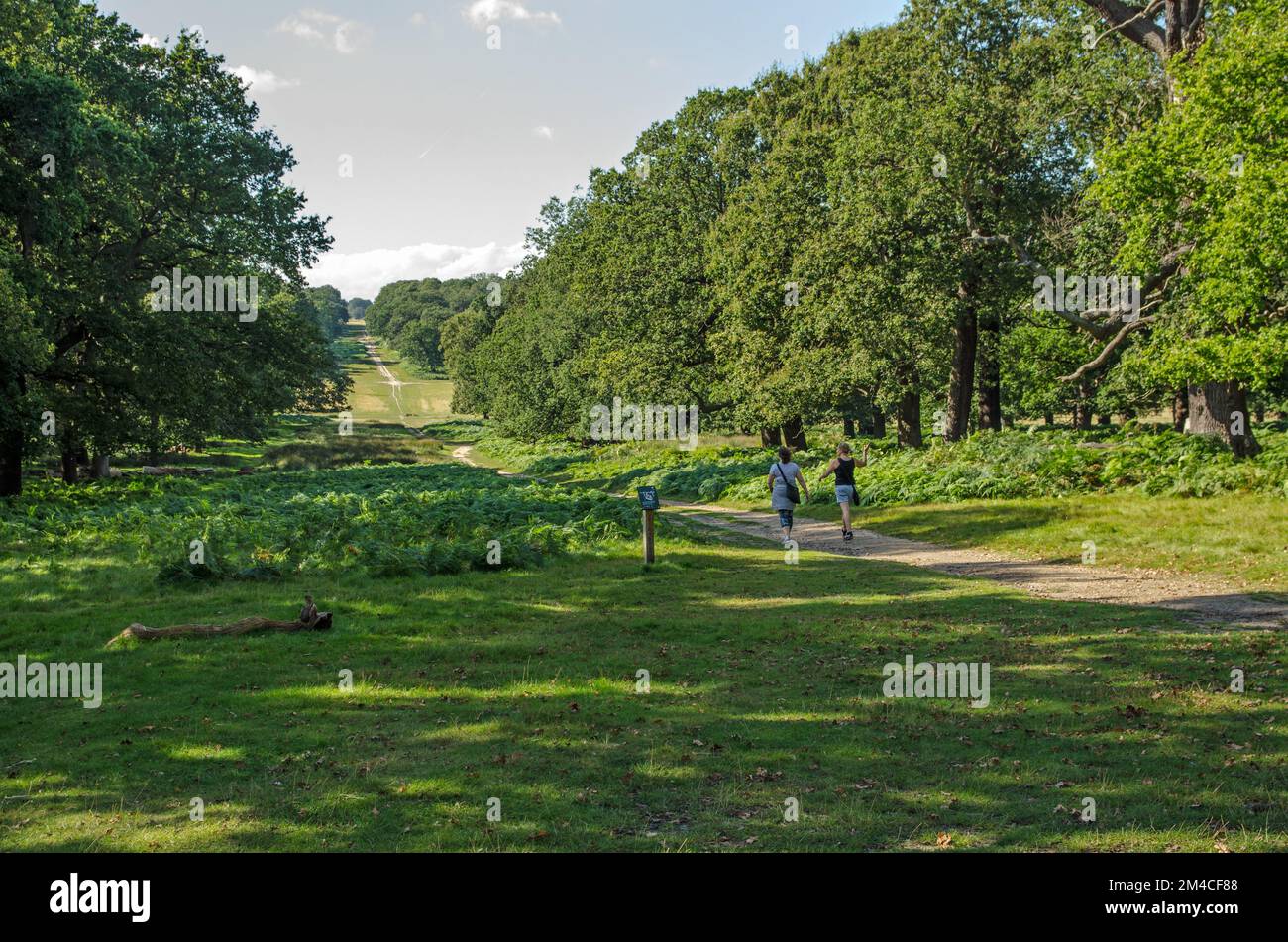Londres, Royaume-Uni - 16 septembre 2021: Deux femmes marchant le long d'un chemin bien utilisé à travers le parc Richmond dans l'ouest de Londres, un après-midi ensoleillé. Banque D'Images