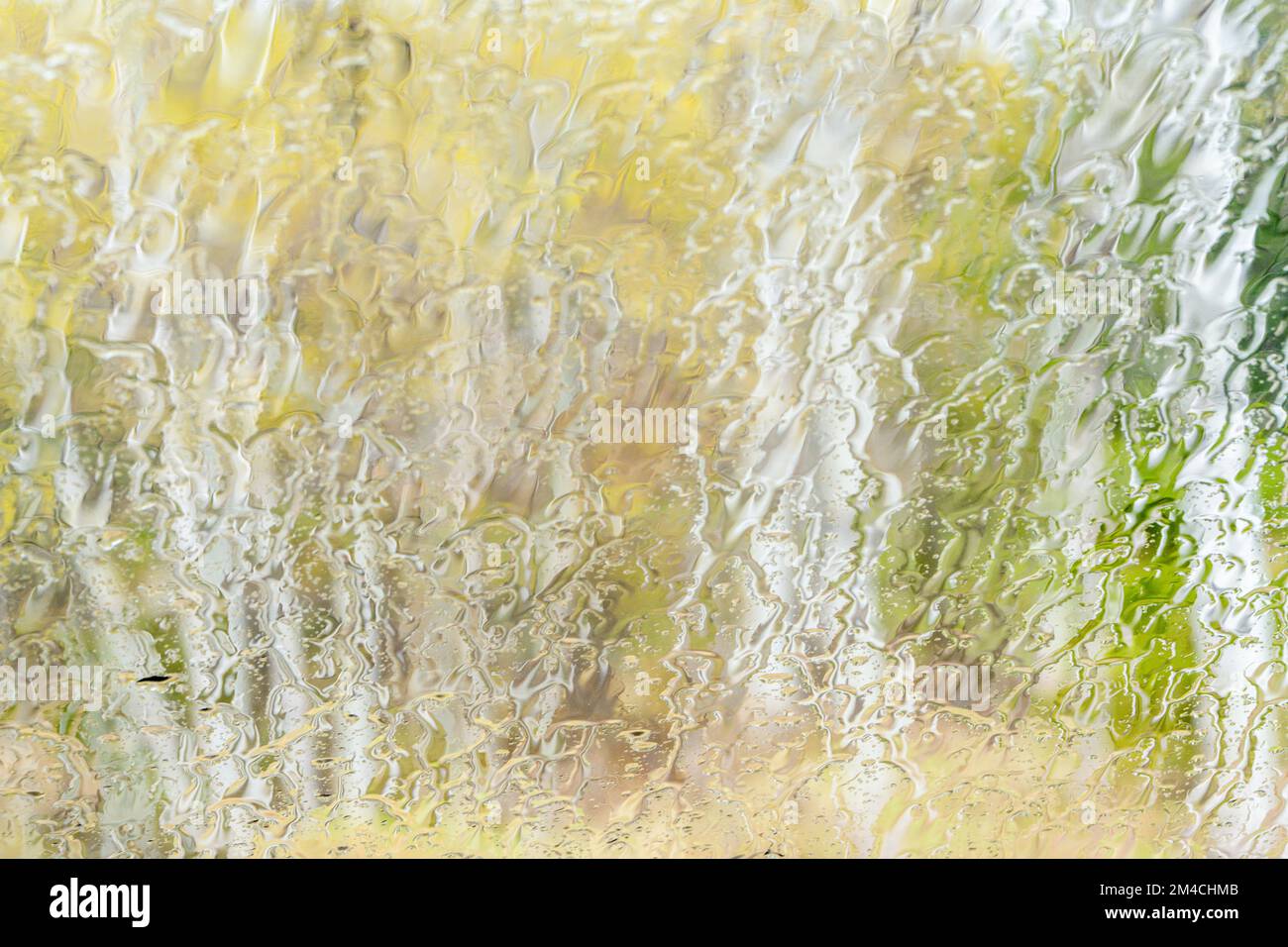 Forêt du début du printemps, vue par un pare-brise baigné de pluie, Grand Sudbury, Ontario, Canada Banque D'Images