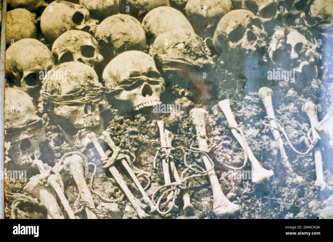 Photographies de crânes de victimes exposées au Musée du génocide de Tuol Sleng, ancienne école secondaire de proies de Tuol Svay utilisée comme prison de sécurité 21, S-21, par TH Banque D'Images