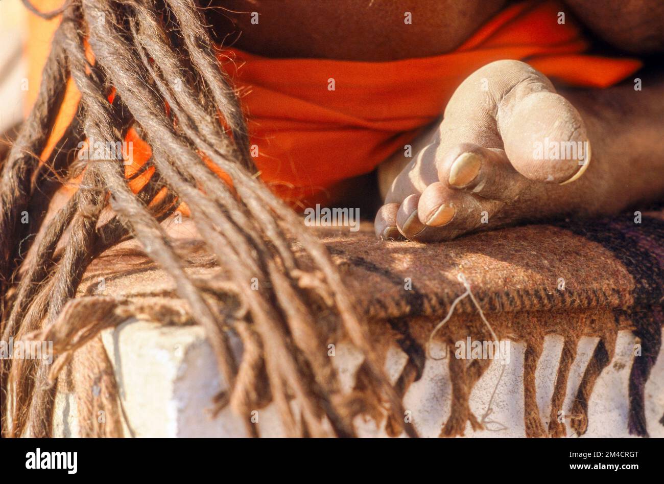 De longues dreadlocks, signe de nombreux sadhus-Shiva Banque D'Images