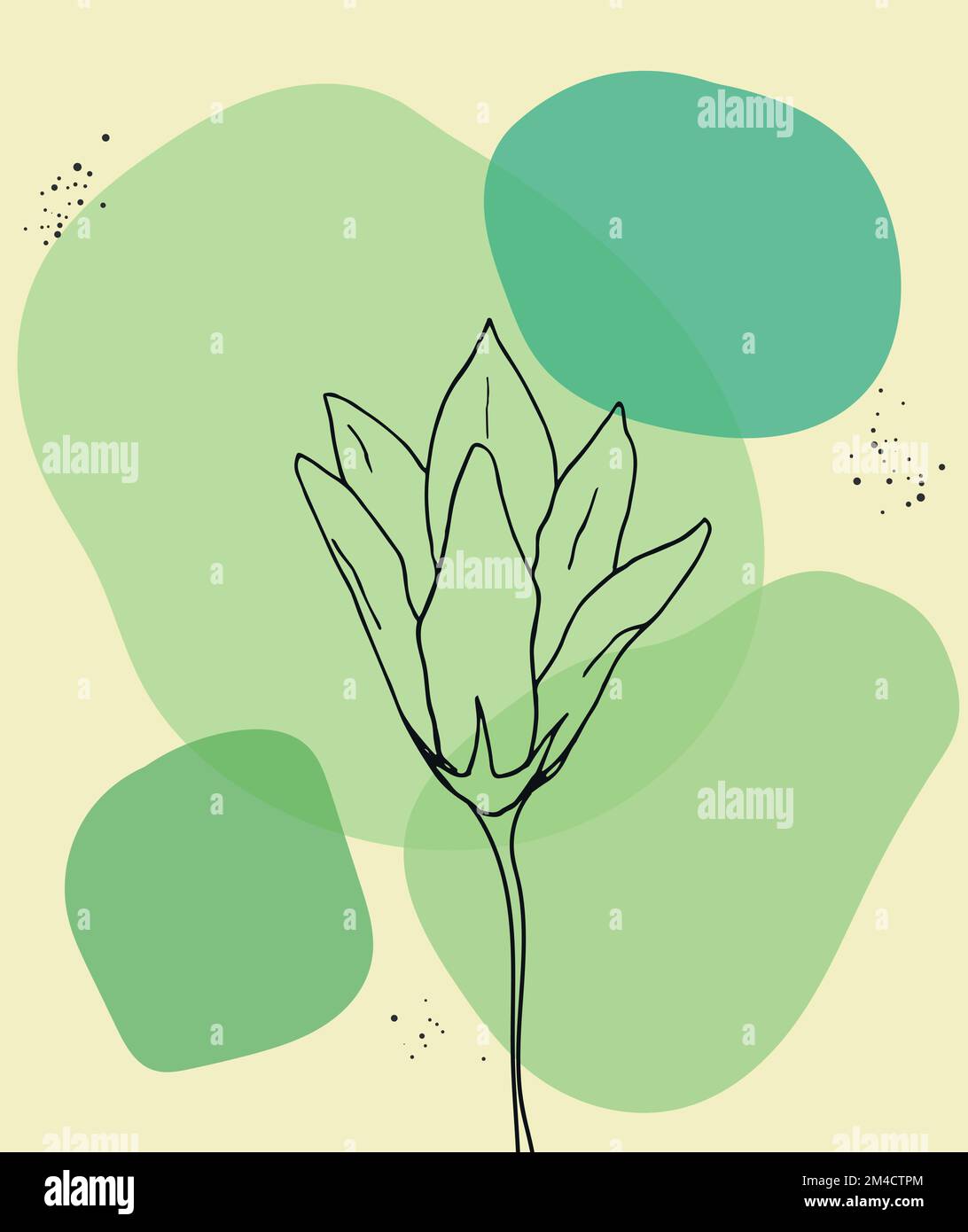Contour floral sur fond abstrait vert et beige. Art botanique simple Illustration vectorielle Illustration de Vecteur