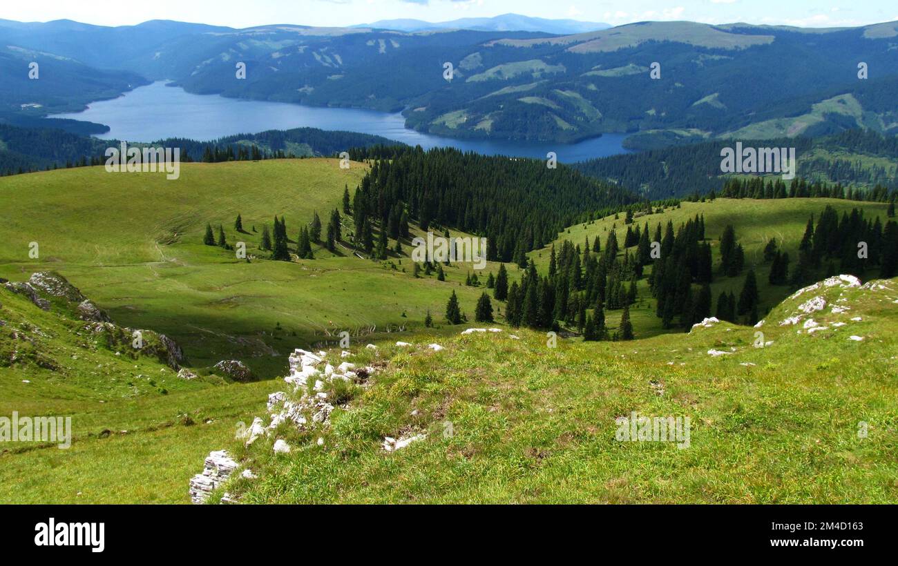 La vue en grand angle d'une rivière passant par les pentes vertes avec des arbres Banque D'Images