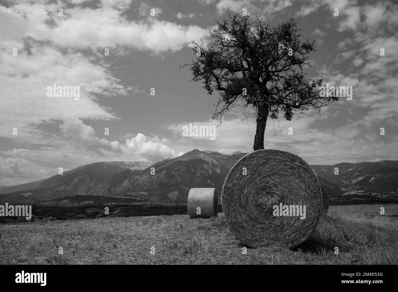Image de rouleaux de balles de paille devant un arbre isolé avec la montagne Majella en arrière-plan et le ciel bleu avec des nuages épars. Italie Banque D'Images