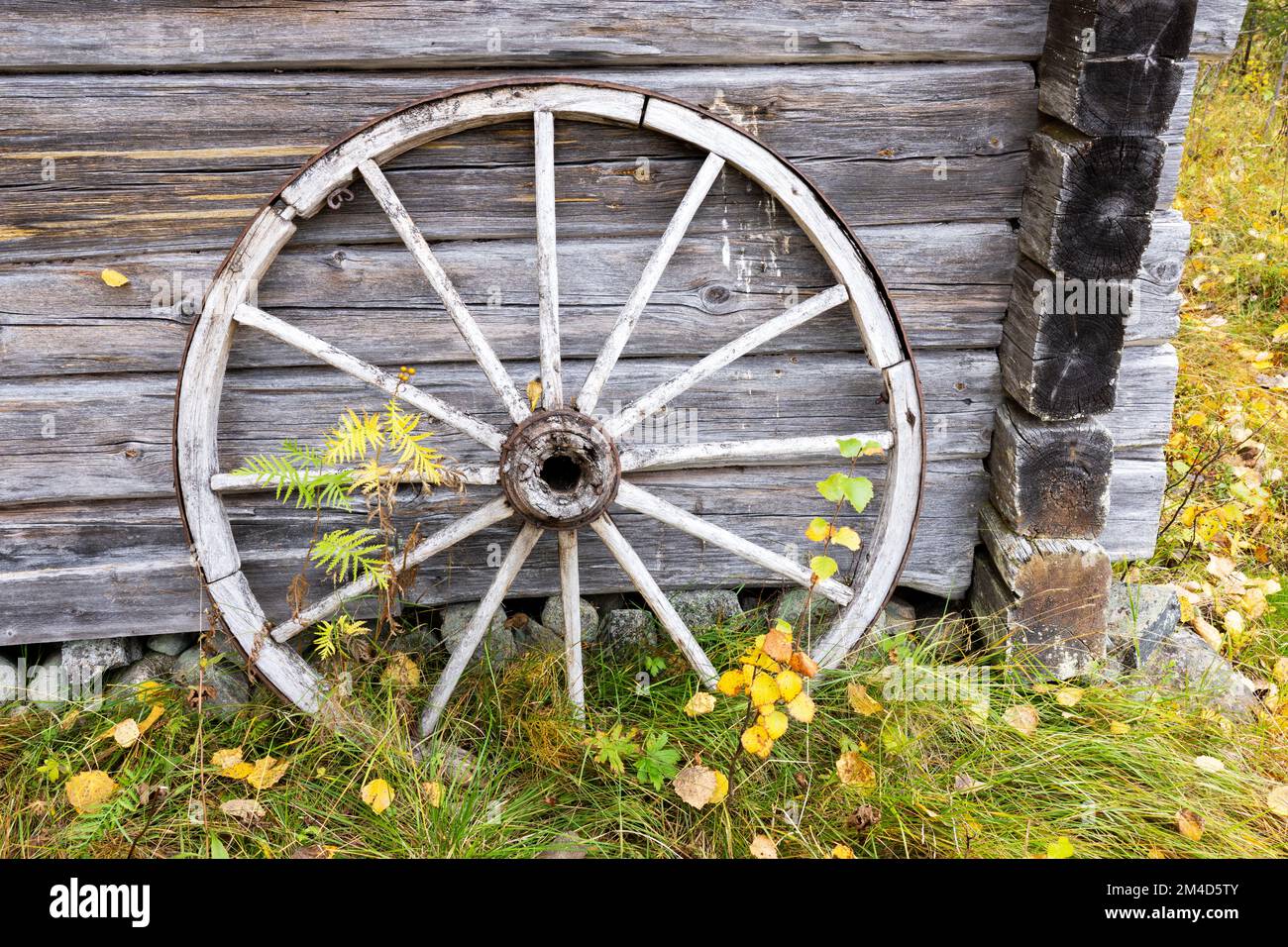 Une ancienne roue en bois près d'un mur de construction dans la ferme près de Kuusamo, dans le nord de la Finlande Banque D'Images