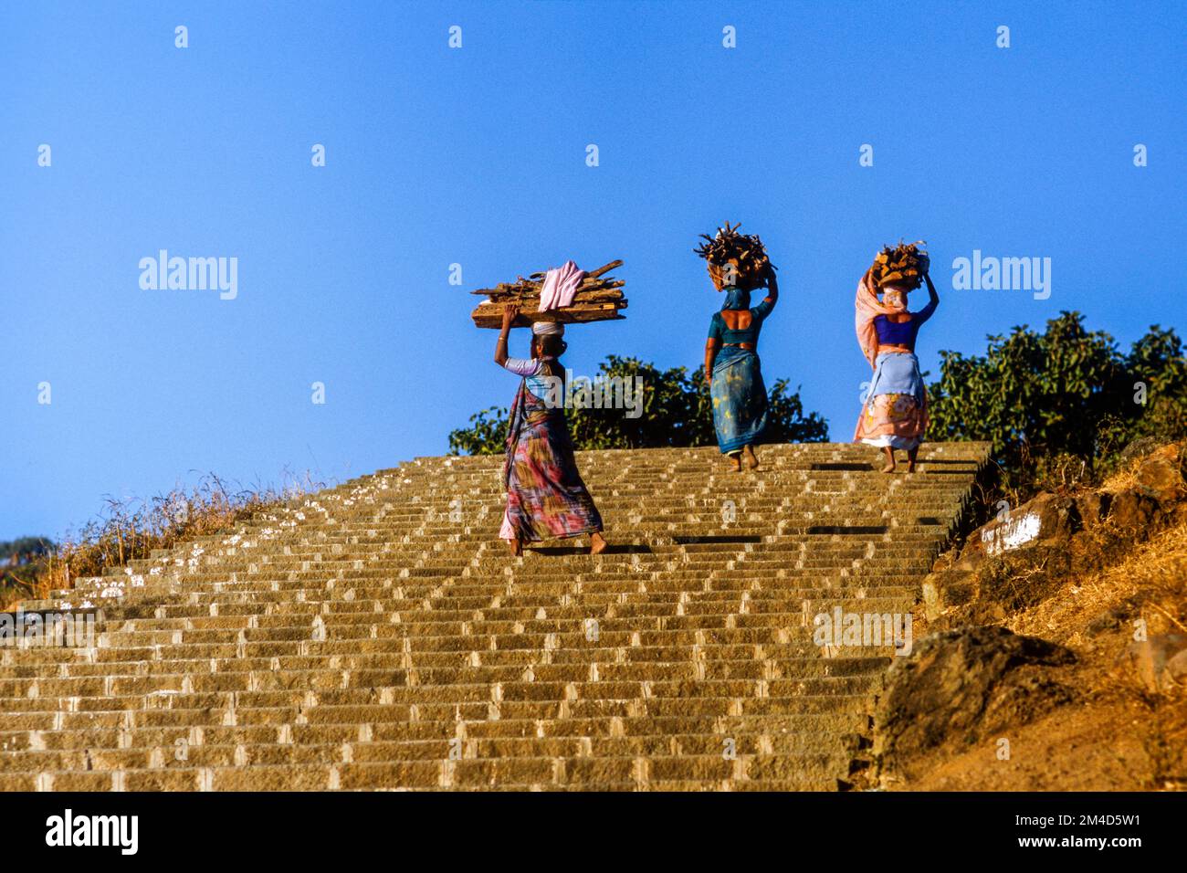 Des femmes portant des bois de la 3,500 mesures pour les temples de Shatrunjaya Banque D'Images