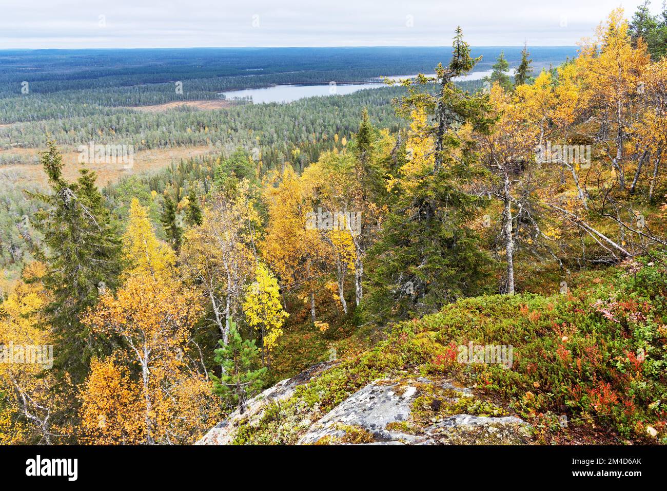 Une vue dégagée sur les lacs, les tourbières et les forêts d'automne tirés d'une colline à Närängänvaara près de Kuusamo, dans le nord de la Finlande Banque D'Images