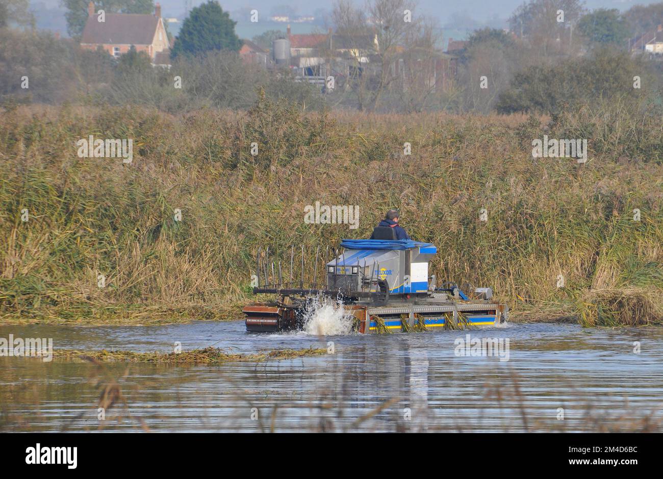 Machine de coupe des mauvaises herbes au travail sur les niveaux de Somerset en gardant les cours d'eau libres et les piscines sur les réserves naturelles libres de mauvaises herbes.cette machine est un Banque D'Images