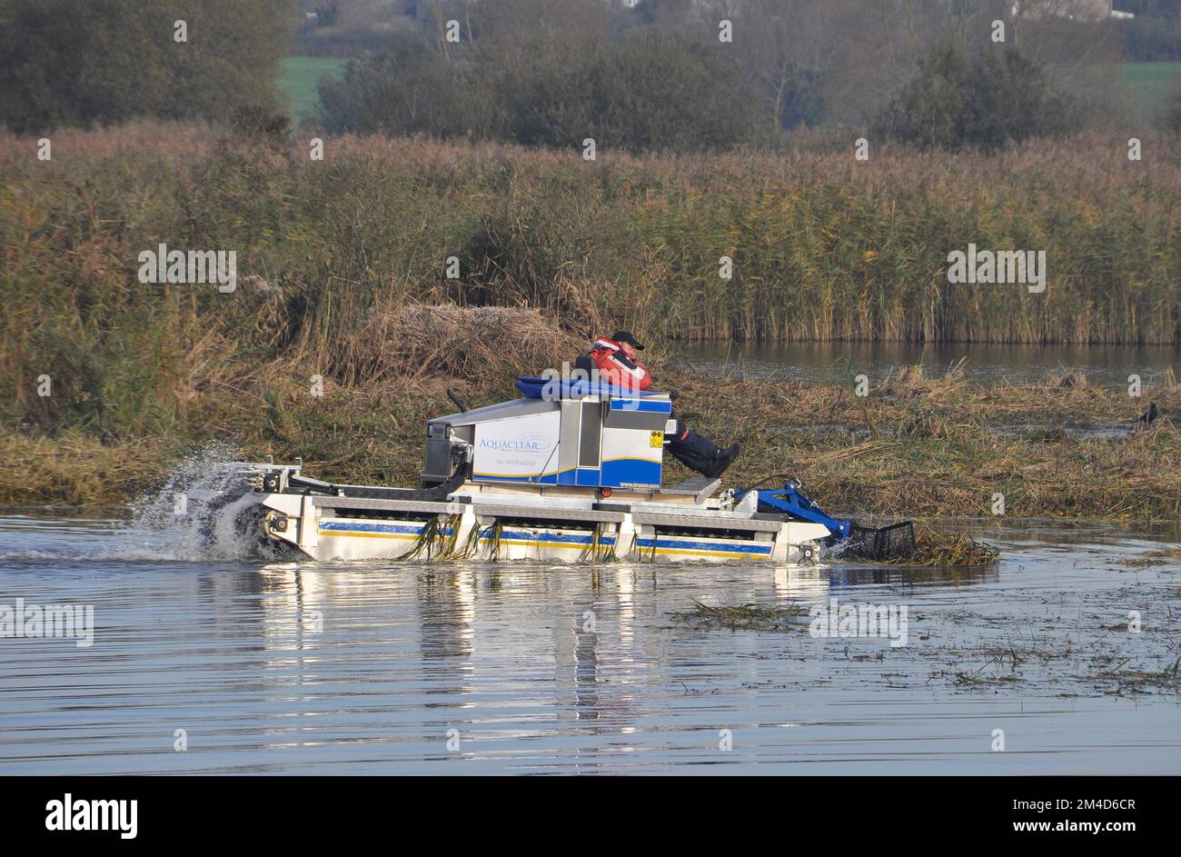 Machine de coupe des mauvaises herbes au travail sur les niveaux de Somerset en gardant les cours d'eau libres et les piscines sur les réserves naturelles libres de mauvaises herbes.cette machine est un Banque D'Images