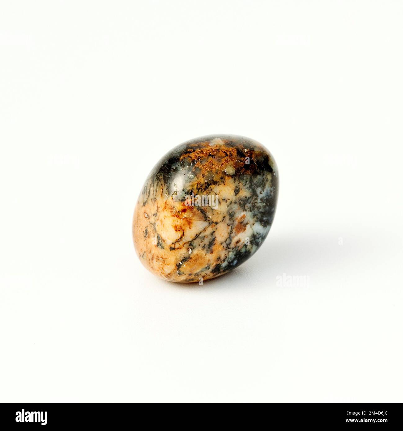 Macro gros plan photo couleur de 'Merlinite ' une pierre précieuse de cristal semi-précieuse utilisée dans la thérapie de guérison de cristal. Nom minéral blanc opalarisé Chalcé Banque D'Images