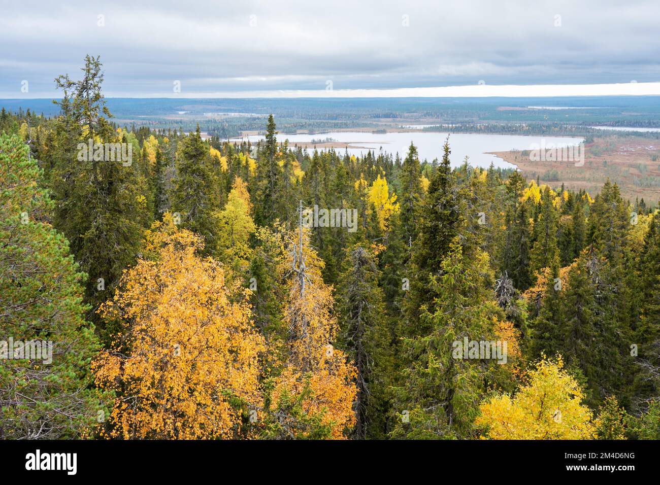 Une vue dégagée sur les lacs, les tourbières et les forêts d'automne tirés d'une colline à Närängänvaara près de Kuusamo, dans le nord de la Finlande Banque D'Images
