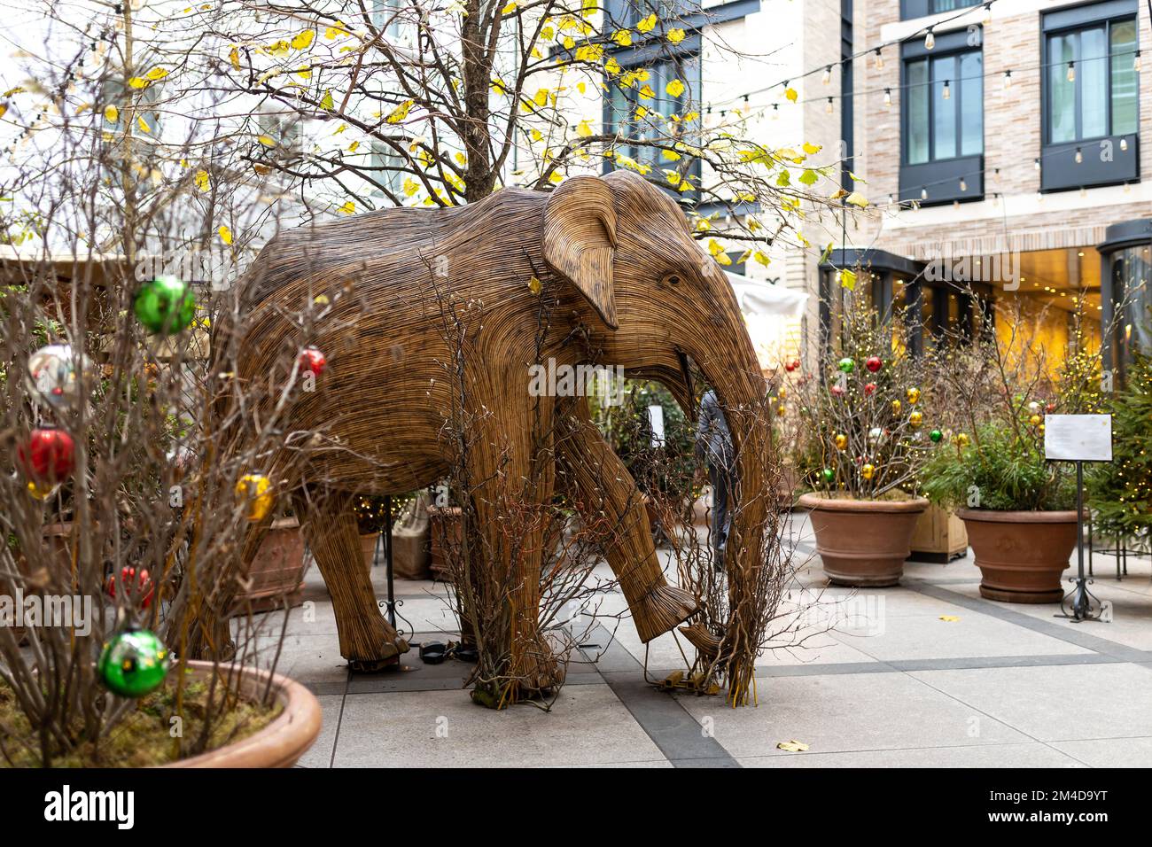 Londres, Royaume-Uni - 17 décembre 2022, éléphants asiatiques grandeur nature fabriqués en bambou près d'un restaurant Covent Garden dans le cadre de la campagne de coexistence. Banque D'Images