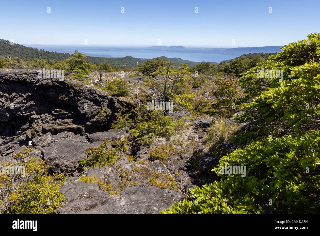 Vue depuis le parc des grottes volcaniques (au pied du volcan Villarrica) jusqu'au lac Villarrica au Chili Banque D'Images