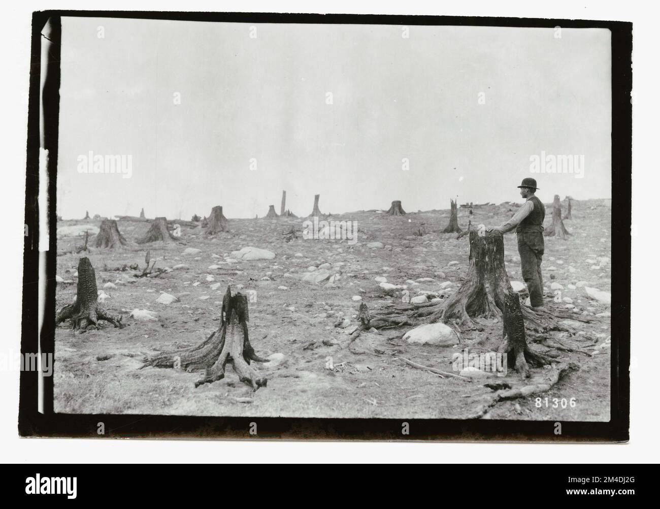 Zones brûlées - Généralités. Photographies relatives aux forêts nationales, aux pratiques de gestion des ressources, au personnel et à l'histoire culturelle et économique Banque D'Images