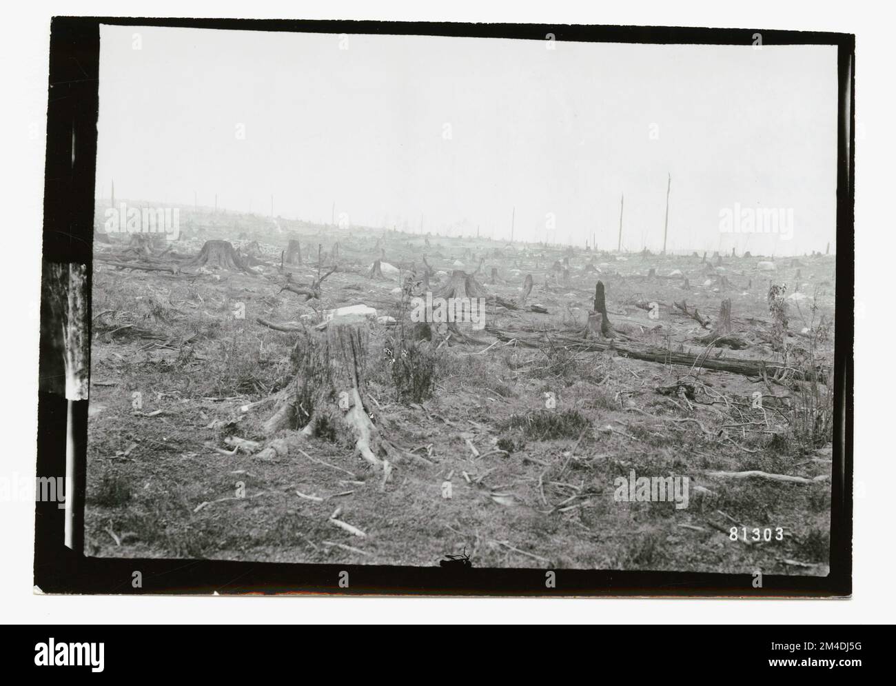 Zones brûlées - Généralités. Photographies relatives aux forêts nationales, aux pratiques de gestion des ressources, au personnel et à l'histoire culturelle et économique Banque D'Images