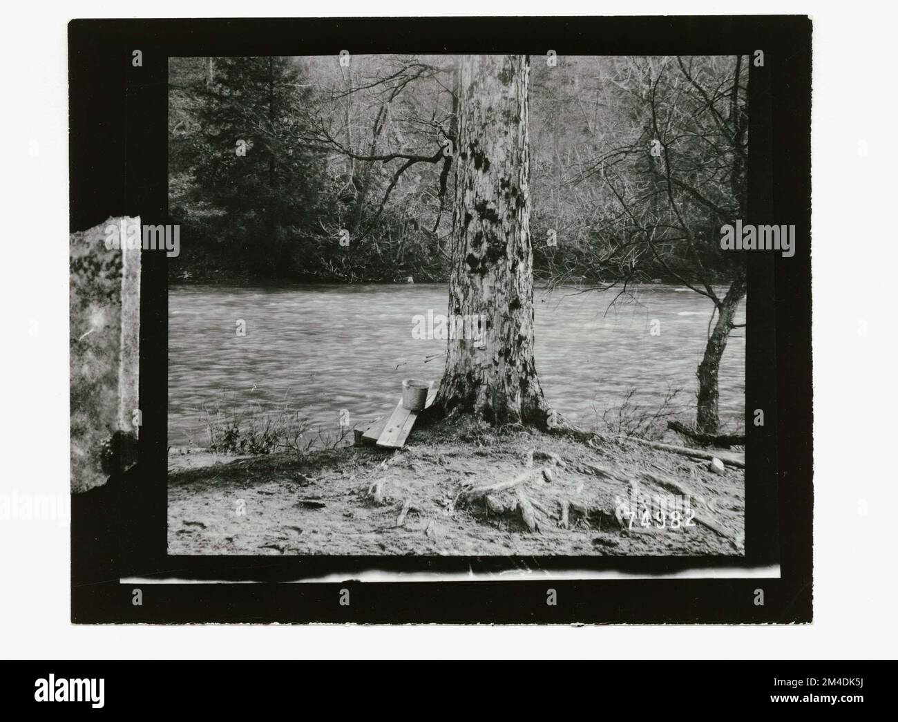 Cultures saisonnières - sirop d'érable, général. Photographies relatives aux forêts nationales, aux pratiques de gestion des ressources, au personnel et à l'histoire culturelle et économique Banque D'Images