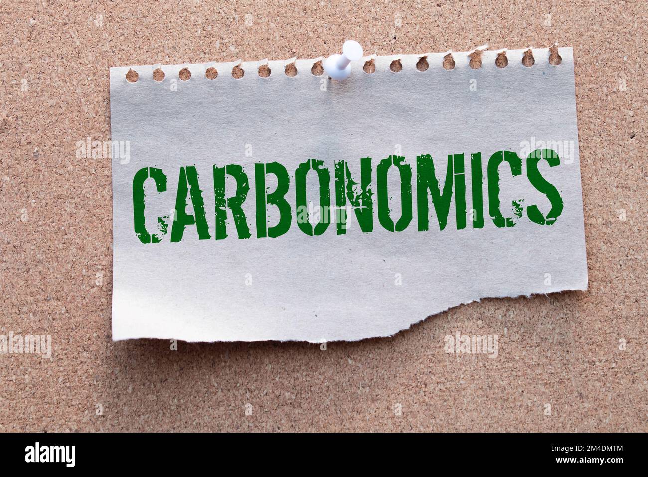 Carbone neutre et concepts ESG. Émission de carbone, énergie propre. Globe Balancing entre une feuille verte et CO2. Ressources durables, préoccupations concernant env Banque D'Images