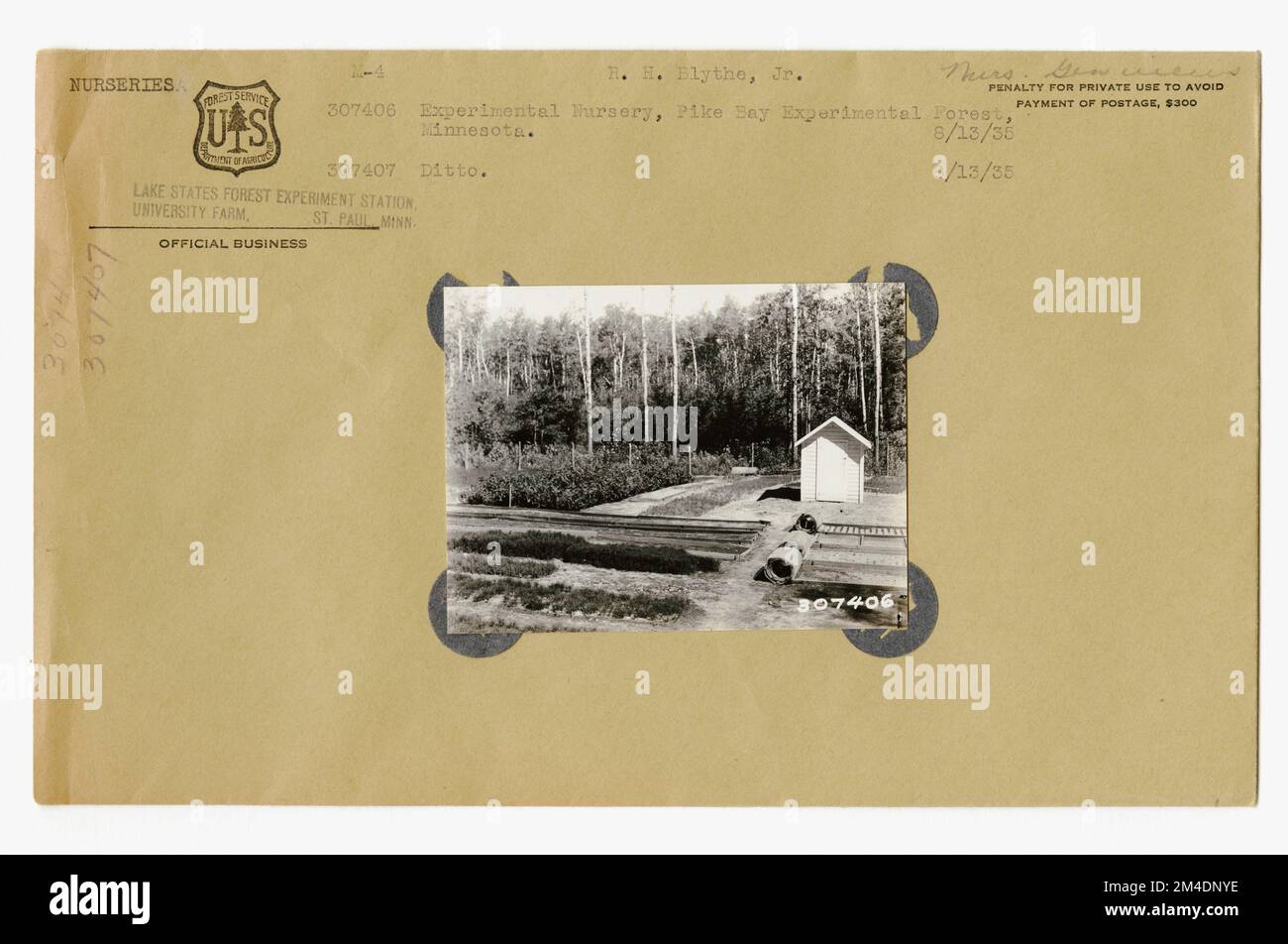 Amélioration de la gamme - ensemencement - Généralités. Photographies relatives aux forêts nationales, aux pratiques de gestion des ressources, au personnel et à l'histoire culturelle et économique Banque D'Images