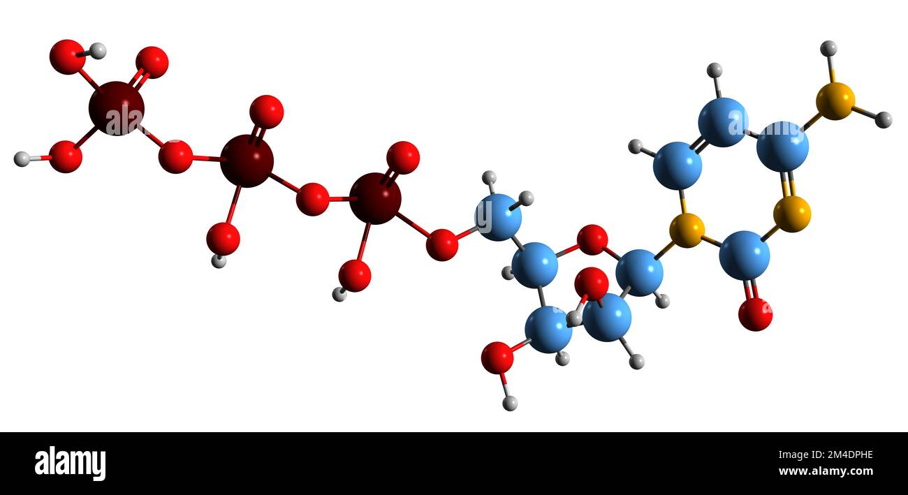 3D image de la formule squelettique de la cytidine triphosphate - structure chimique moléculaire du triphosphate nucléosidique de la pyrimidine isolé sur fond blanc Banque D'Images