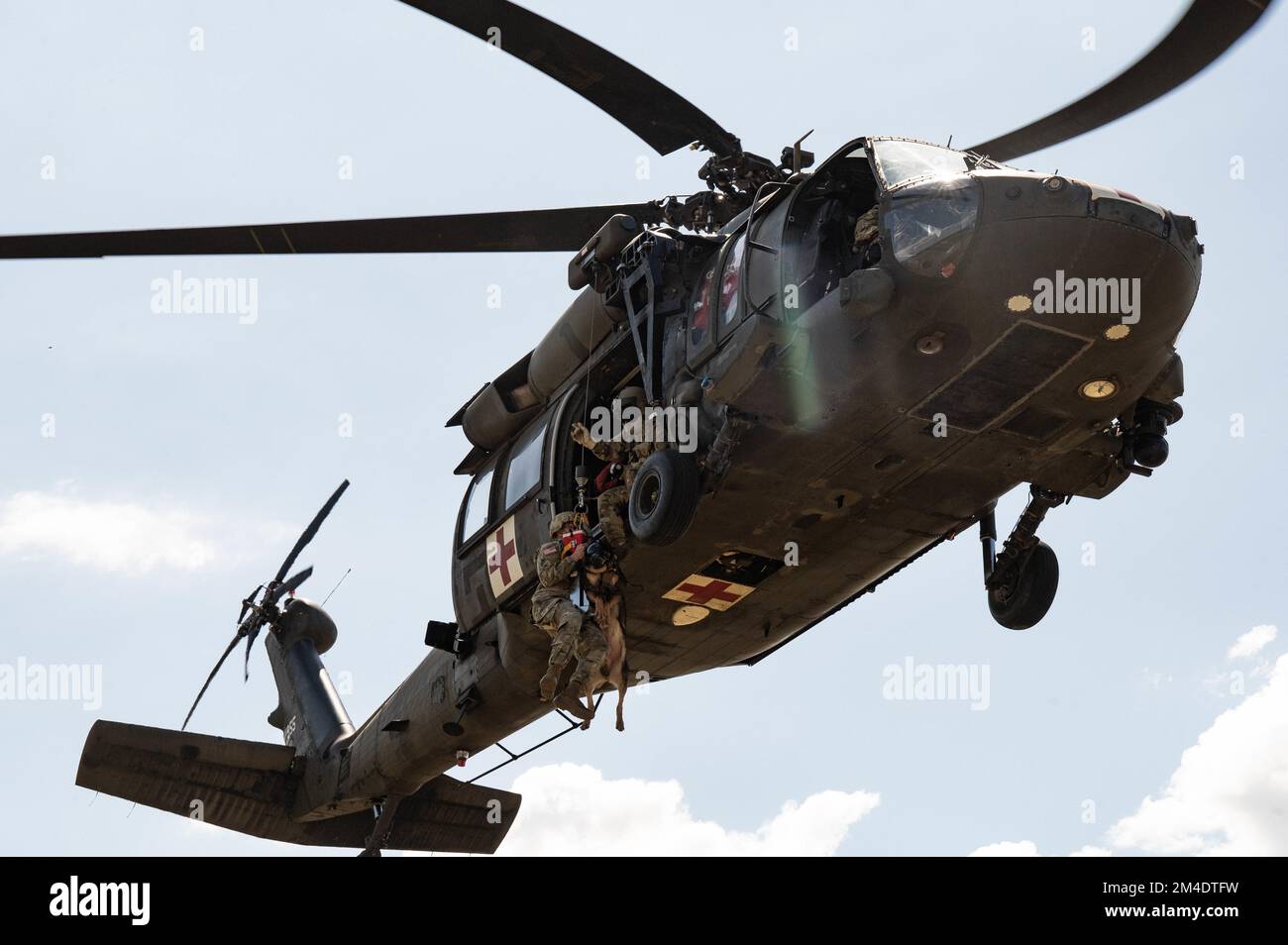 Les chiens de travail militaires ont participé à l'entraînement de levage à la base aérienne de Soto Cano, au Honduras, sur 14 décembre 2022. Les MWD doivent avoir la même capacité à monter et descendre des hélicoptères que leurs maîtres-nageurs en cas d'urgence. (É.-U. Photo de la Force aérienne prise par le sergent d'état-major Jaylen Molden) Banque D'Images