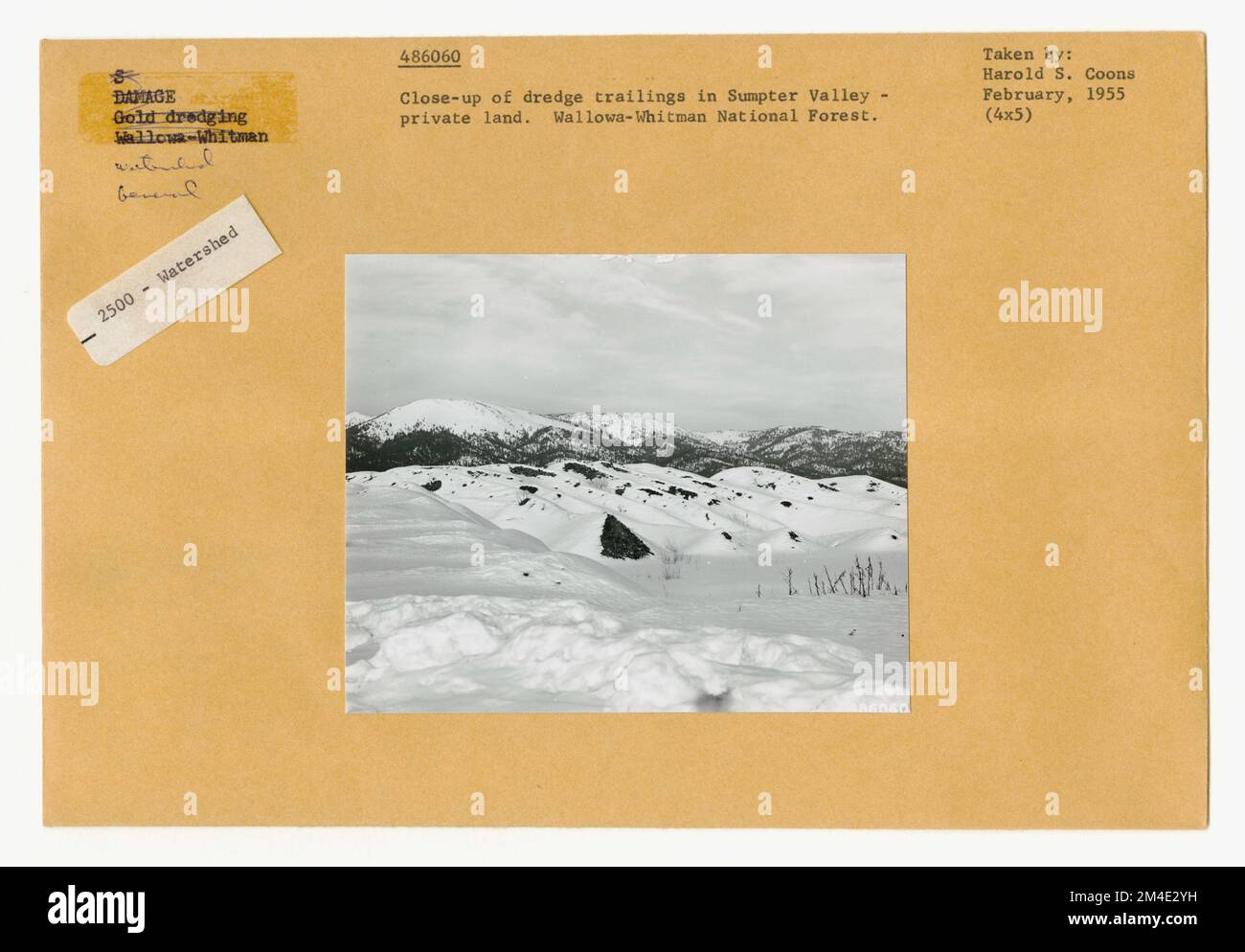 Effet d'érosion - général. Photographies relatives aux forêts nationales, aux pratiques de gestion des ressources, au personnel et à l'histoire culturelle et économique Banque D'Images