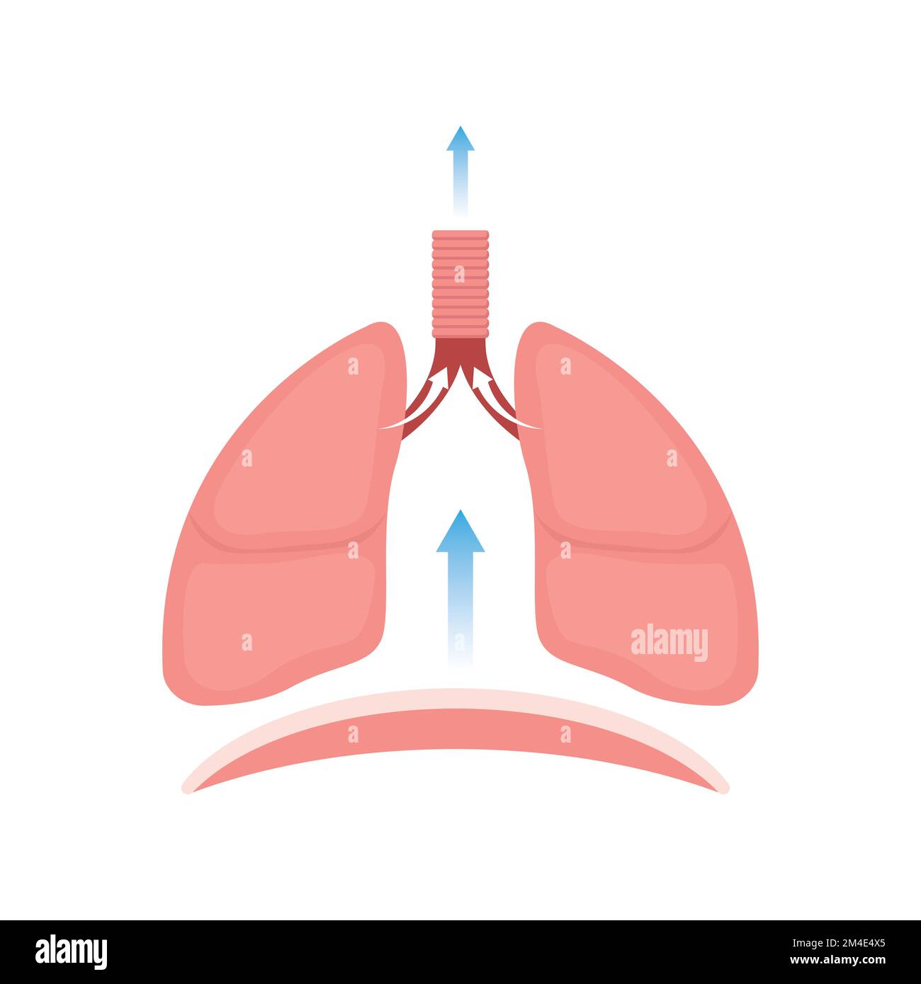 Conception scientifique de l'Exhalation. Symboles colorés. Illustration vectorielle. Illustration de Vecteur