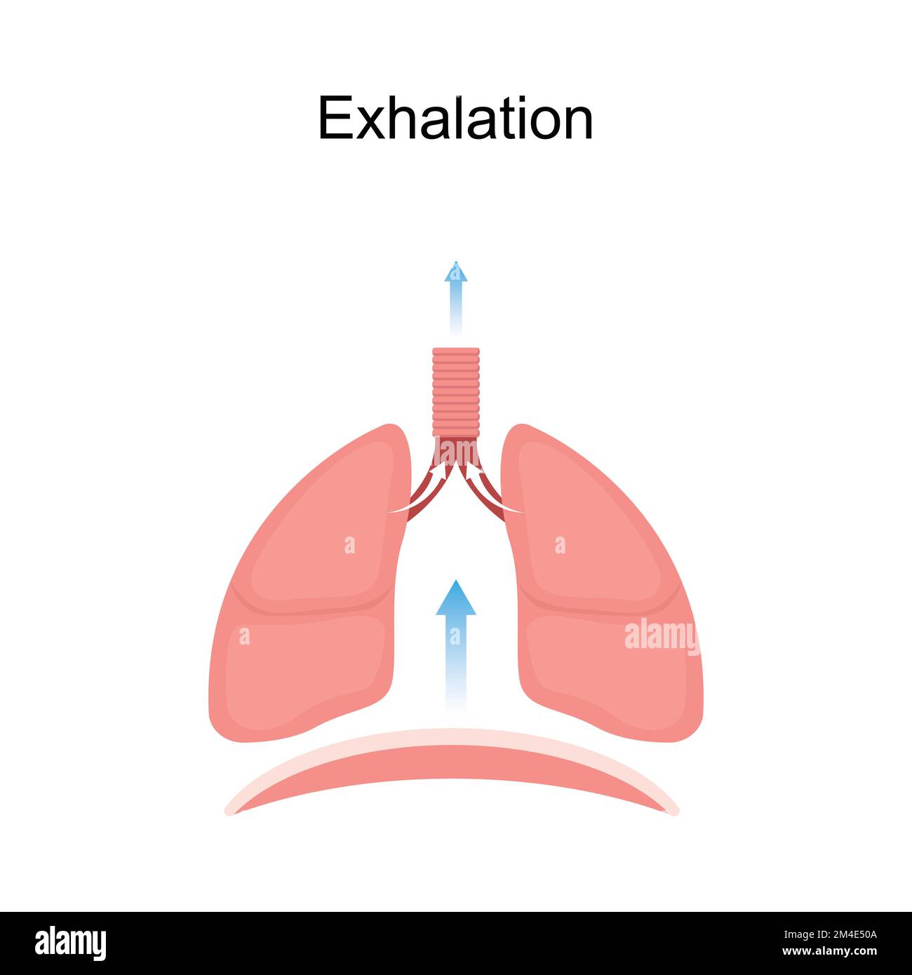 Conception scientifique de l'Exhalation. Symboles colorés. Illustration vectorielle. Illustration de Vecteur