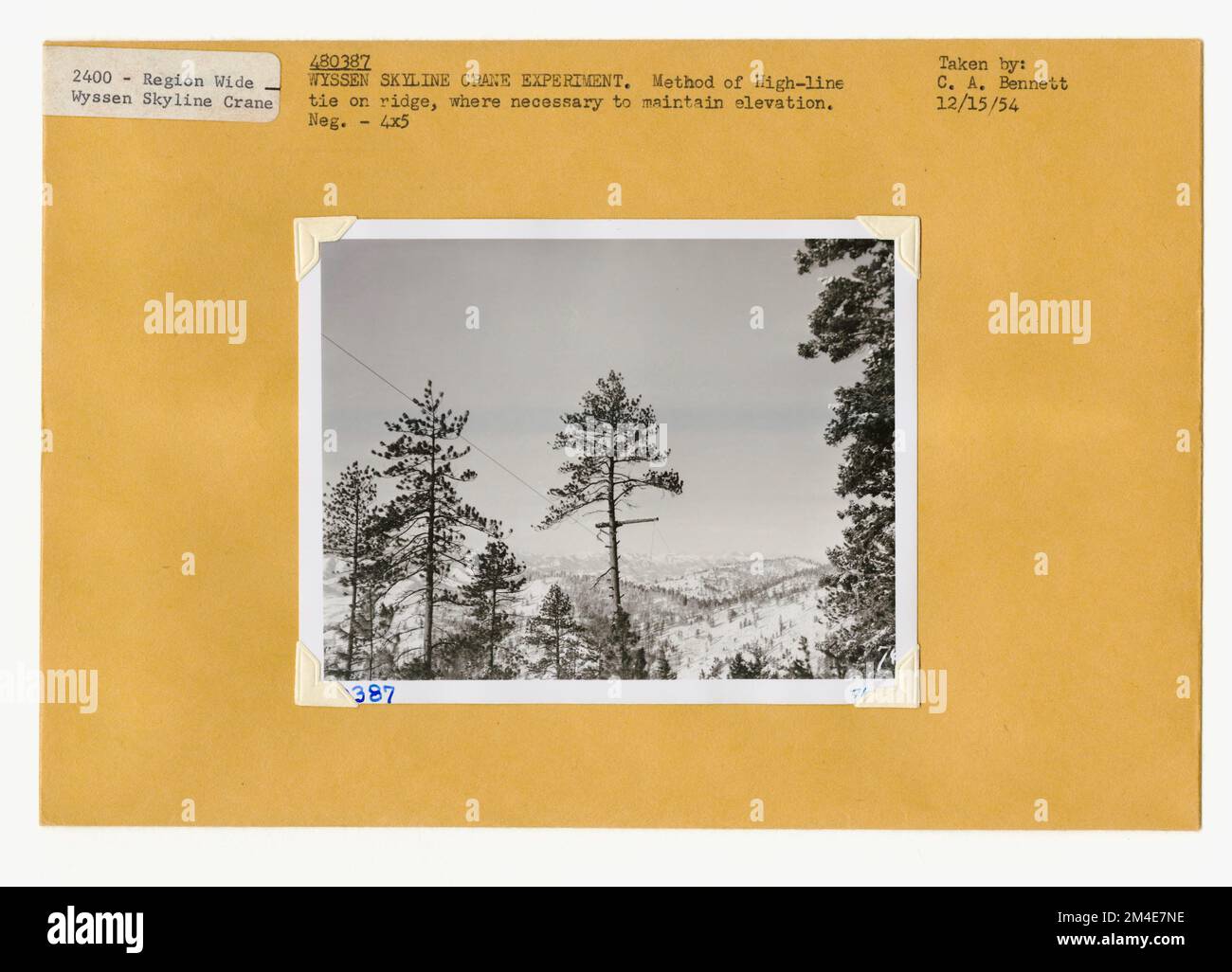 Coupe transparente - dénudage. Photographies relatives aux forêts nationales, aux pratiques de gestion des ressources, au personnel et à l'histoire culturelle et économique Banque D'Images