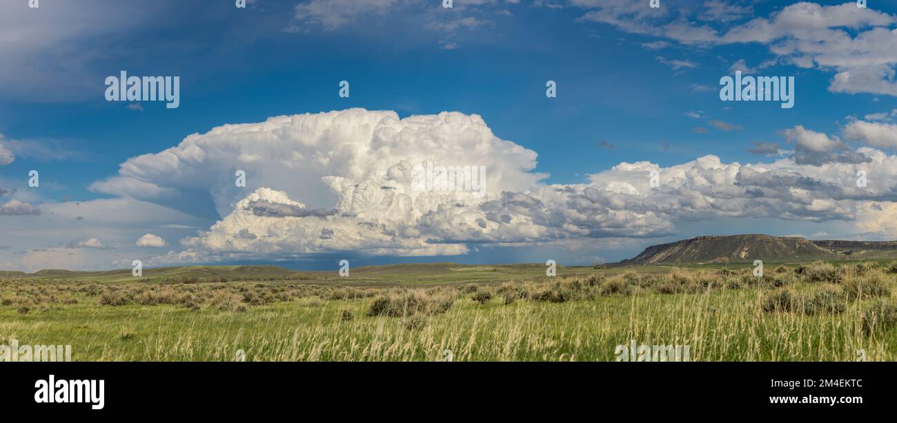 Un orage pousse au-dessus de la prairie du Wyoming. Banque D'Images