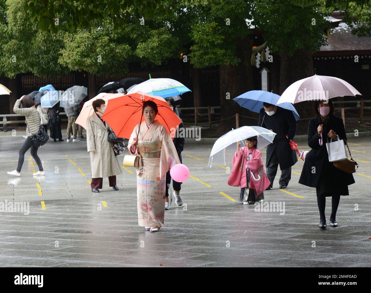 Shichi-Go-San (festival du rite de passage japonais) à Meiji Shrine, Tokyo, Japon. Banque D'Images