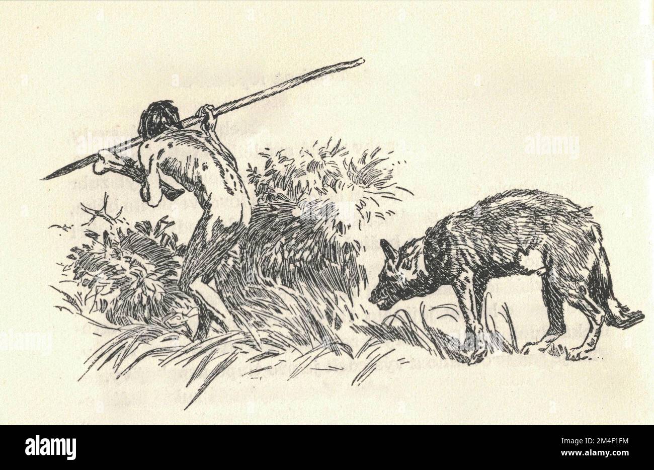Un chasseur préhistorique avec un os et un loup affamé. Représentation d'un animal préhistorique. Ancienne illustration en noir et blanc. Dessin vintage. Illustration par Zdenek Burian. Zdenek Michael Frantisek Burian (11 février 1905 à Koprivnice, Moravie, Autriche-Hongrie 1 juillet 1981 à Prague, Tchécoslovaquie) est un peintre, illustrateur de livres et paléoartiste tchèque dont les travaux ont joué un rôle central dans le développement de la reconstruction paléontologique. À l'origine reconnue uniquement en Tchécoslovaquie natale, la renommée de Burian s'est par la suite répandue à un public international au cours d'une carrière remarquable s'étendant sur six décennies Banque D'Images