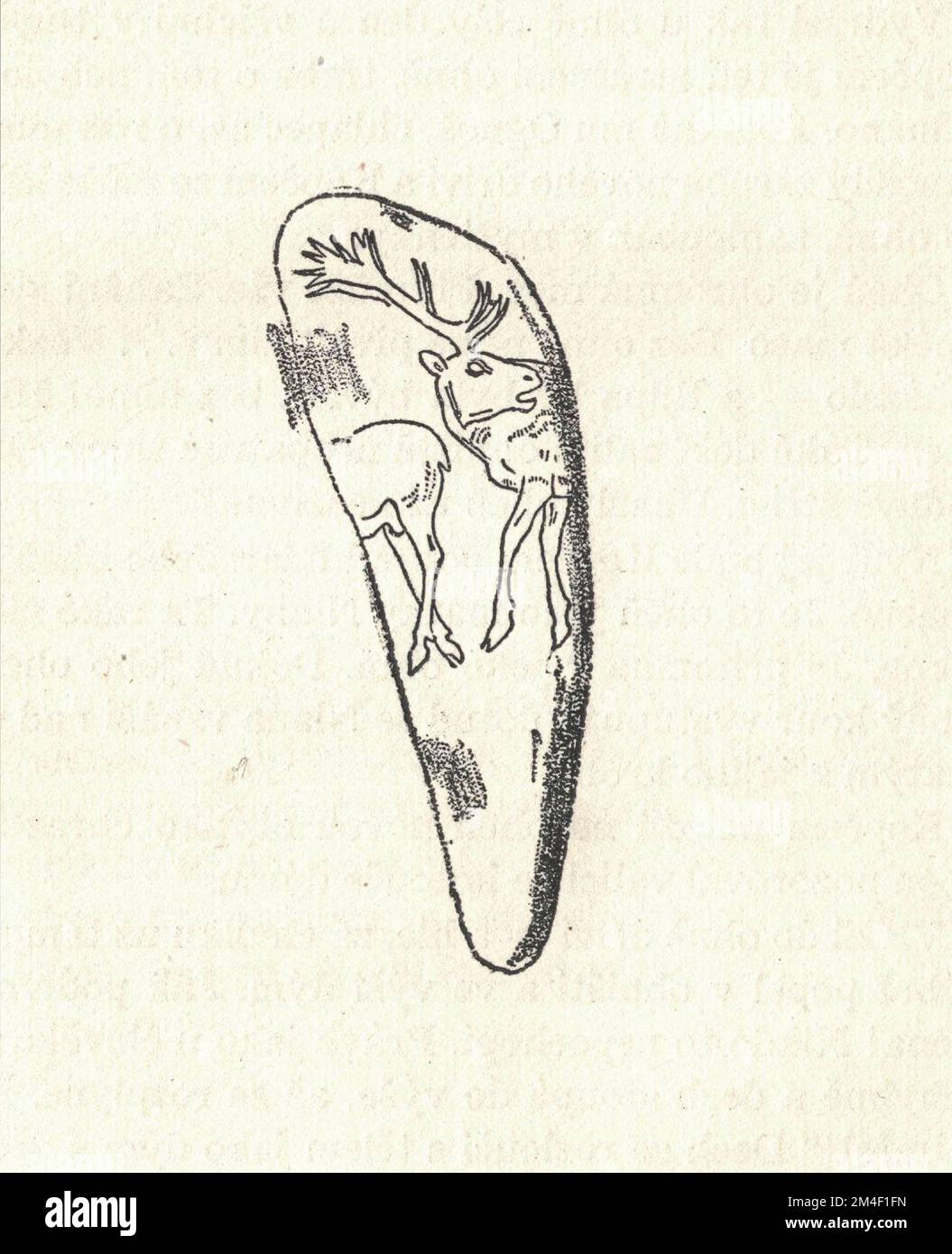 Gravure sur un bois datant de l'époque préhistorique. Représentation d'un animal préhistorique. Ancienne illustration en noir et blanc. Dessin vintage. Illustration par Zdenek Burian. Zdenek Michael Frantisek Burian (11 février 1905 à Koprivnice, Moravie, Autriche-Hongrie 1 juillet 1981 à Prague, Tchécoslovaquie) est un peintre, illustrateur de livres et paléoartiste tchèque dont les travaux ont joué un rôle central dans le développement de la reconstruction paléontologique. À l'origine reconnue uniquement en Tchécoslovaquie natale, la renommée de Burian s'est par la suite étendue à un public international au cours d'une carrière remarquable s'étendant sur six décennies (19 Banque D'Images