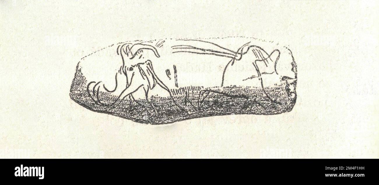 Gravure sur un bois datant de l'époque préhistorique. Représentation d'un animal préhistorique. Ancienne illustration en noir et blanc. Dessin vintage. Illustration par Zdenek Burian. Zdenek Michael Frantisek Burian (11 février 1905 à Koprivnice, Moravie, Autriche-Hongrie 1 juillet 1981 à Prague, Tchécoslovaquie) est un peintre, illustrateur de livres et paléoartiste tchèque dont les travaux ont joué un rôle central dans le développement de la reconstruction paléontologique. À l'origine reconnue uniquement en Tchécoslovaquie natale, la renommée de Burian s'est par la suite étendue à un public international au cours d'une carrière remarquable s'étendant sur six décennies (19 Banque D'Images